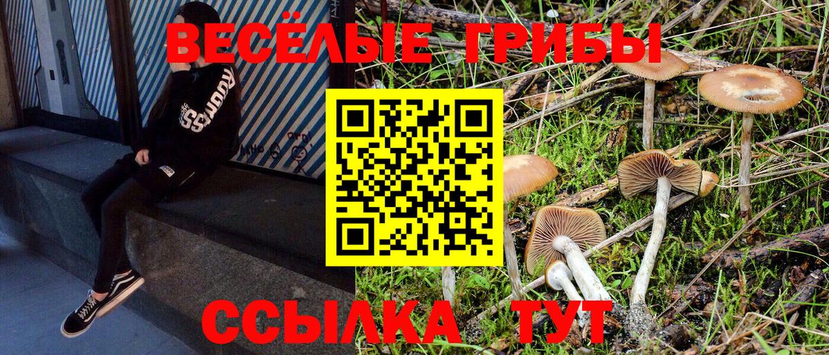 Галлюциногенные грибы мухоморы  Вход с VPN  Галлюциногенные грибы Psilocybe  Сергиев Посад 