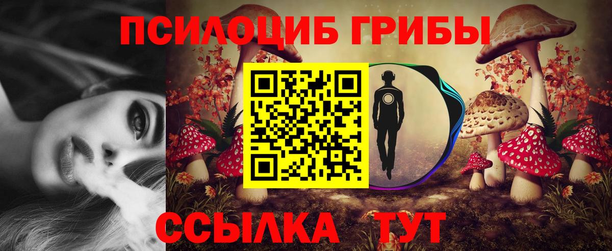 Псилоцибиновые грибы Cubensis Сергиев Посад